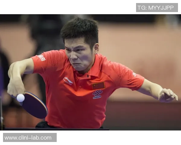 杭州世锦赛回顾：乒乓球队展现实力与团队精神的精彩表现